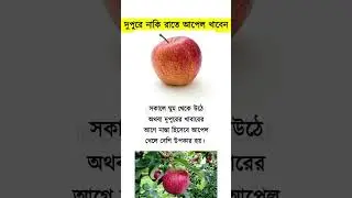 আপেল খাওয়ার সঠিক সময় কখন