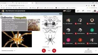 Biologia e Classifica&ccedil;&atilde;o de Arthropoda