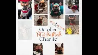 October POTM - Charlie