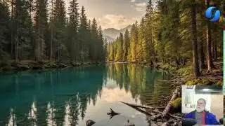 Flamenco Guitar + Magical Accordion & Flute for Total Bliss - The Legendary Chill Oasis