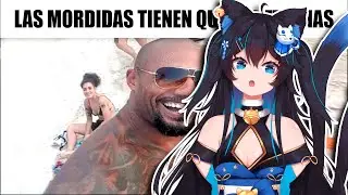 Nott REACCIONA