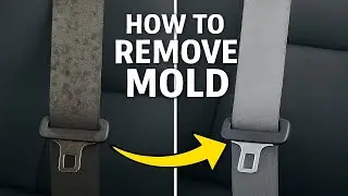 🧽 How to Get Rid of Mold 🦠 and Other Stubborn Stains ✨