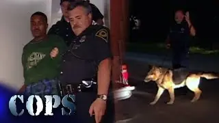 Suspect Gives Himself Up From Attic Hiding Spot | Indianapolis, Indiana | COPS TV Show