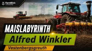 Maislabyrinth bei Alfred Winkler in Vestenbergsgreuth