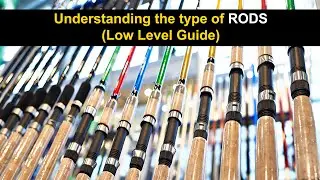 Russian Fishing 4, Understanding the type of RODS (Low Level Guide)