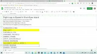 Epstein's Island Flight Logs