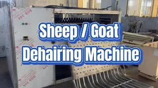 Sheep dehairing machine goat dehairer modern abattoir slaughtering line equipment made in China