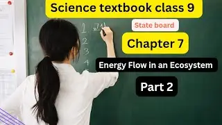 Energy flow in an Ecosystem part 2 | Class 9| Science  Maharashtra Board 