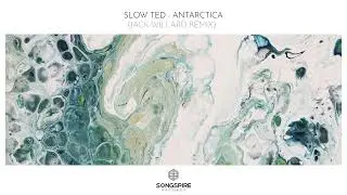 Slow Ted - Antarctica (Jack Willard Remix)
