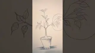 SSC practical Art 🎨 #ssc #drawing #art #viral 💕💕💕💕💕