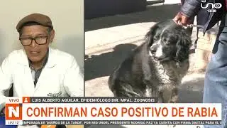 CONFIRMAN CASO POSITIVO DE RABIA