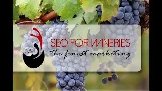 SEO for Wineries - Secret Marketing To Surging Wine Sales