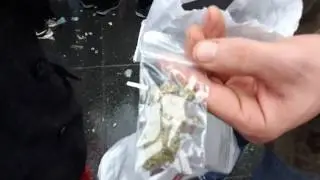420 TORONTO 2017