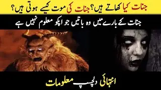 What Do Jinn Eat? || Do The Jinn Die? Unbelievable Facts About Jinn || Ghost ||Ahmed Voice