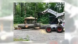 You Call, It Falls .. Dave's Tree Service