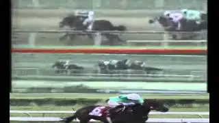 Carrera 828 Ganador (Comediante)  CORTESÍA CRONODATOS