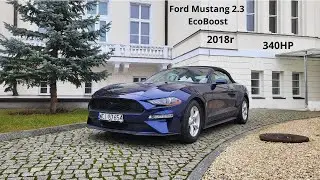 Ford Mustang 2.3 EcoBoost - Wbrew krytyce