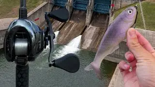 Безумная рыбалка на гигантских зубастых рыб у водосброса!