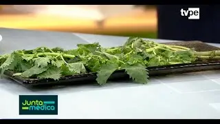 Propiedades de la ortiga (Junta Médica) (Tv Perú)