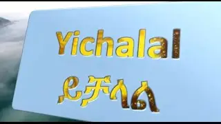 Ethiopia || Ethiopian Economy by 2030 || Ethiopian 10 Years Development Plans ||360p