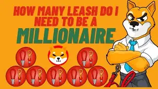 How Many Leash Do You Need To Be A Millionaire? &bull; Leash Partnership?