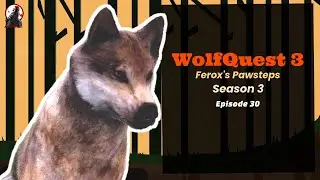 🐺 WQ 3: Ferox's Pawsteps Season 3🐾 - Episode 30: Pack Politics