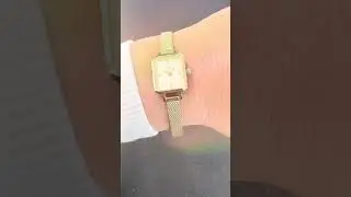 Daniel Wellington Petite Quadro Watches