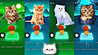 CUTE CAT - Brown VS White VS Orange VS Brown |Tiles Hop EDM Rush.