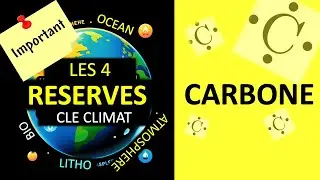 Les 4 Réserves Planétaires du Carbone : Clé pour Notre Climat