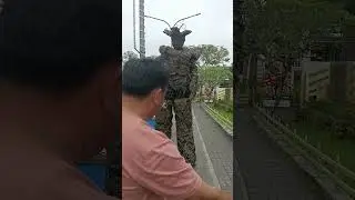 Viral in Action #viral #highlights #viralvideo #shortvideo