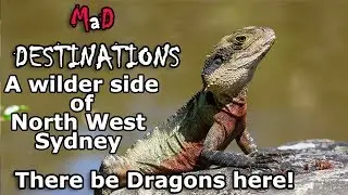See the wilder side of North West Sydney