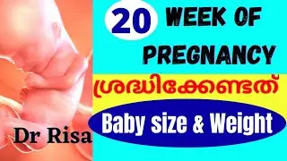 Pregnancy Week by Week Malayalam | 20 Weeks Pregnant