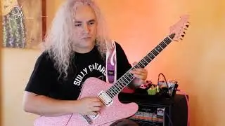 Sully Pickups demo: Secret Menu bridge + Al Pastor neck