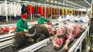 Inside the Buffalo-Leather Factory: From Farm to Heavy-Duty Luxury Goods ( Full Process )