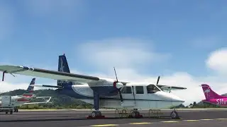 BN-2 Islander TUPJ Landing MSFS 2020