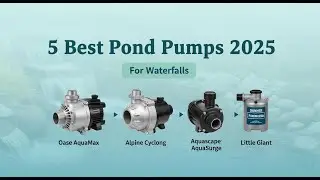 5 Best Pond Pumps 2025