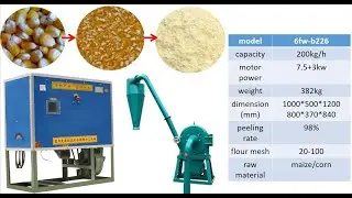6FW-B226 corn maize milling machine | posho mill | corn flour grinder | maize mill #cornmeal #posho