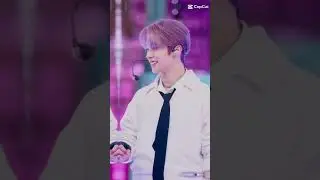 Happy birthday our handsome multitalented energic King Stray Kids Leeknow 🐱🎂❤❣