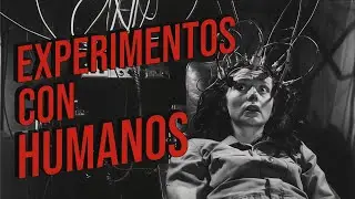 Top 10 EXPERIMENTOS psicol&oacute;gicos que CAMBIARON LA HISTORIA