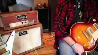 Satellite Amps Barnwood Barracuda