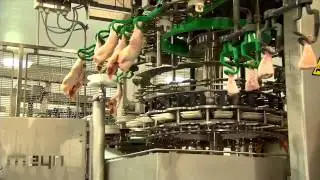 Meyn&reg; Drum Thigh separator