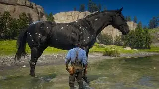 RDR 2 | Артур Морган укрощает чёрную лошадь породы снежинка Аппалуза в джунглях