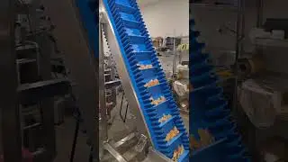 Techno-Pak Australia TPVPM500 - MULTIHEAD WEIGHER and Accessories for Corn Chips (Doritos)