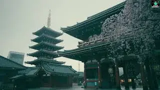 Sensoji Temple 4K | Aerial Views of Tokyo&rsquo;s Ancient Buddhist Shrine