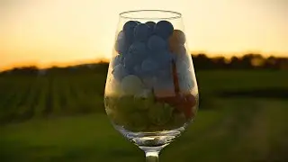 Éberek legyetek mert nem tudjátok mikor jö haza a ház Ura ,Mi folyik a szőlőben?? 