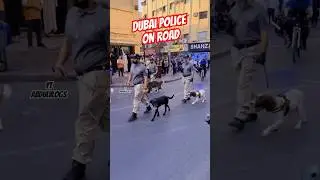 Dubai police on street #dubai #police #uae #dubaipolice #uae #emirates #india #trained #abdulvlogs