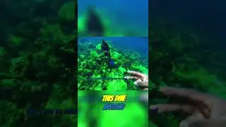 Chasing Dreams Underwater 🌊🐠 Exploring Thailand&rsquo;s Best Dive Spots!