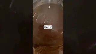 Why boiled wood makes root beer soda