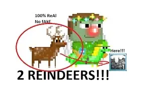 Growtopia-Got 2 Reindeers!! Making Magical Reindeer!!