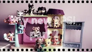 My new LPS! (part 2) (magyarul)